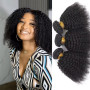 Tissage Naturel Cheveux Humain Afro Kinky Curly Human Hair Bunldes 4B 4C Meche Bresilienne Vierge Remy Cheveux Humains Tissage B