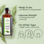 Nature Spell Huile de romarin pour cheveux et cuir chevelu avec applicateur d'huile capillaire, huile de romarin pour la croissa