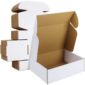 HORLIMER Carton Emballage Colis 305x229x102 MM Lot de 20, Petite Boîte Carton d'expédition pour Expédition Postale, Courrier, Bo