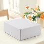 HORLIMER Carton Emballage Colis 305x229x102 MM Lot de 20, Petite Boîte Carton d'expédition pour Expédition Postale, Courrier, Bo