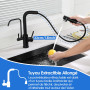 ROVOGO Mitigeur Robinet d'Évier de Cuisine Noir 3 Voies à Eau Filtrée en Acier Inoxydable 304, Douchette Extractible à 2 Modes, 