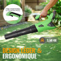 WORKPROX Souffleur de Feuilles Axial sans Fil 20V, Souffleur à Batterie 4,0 Ah avec Chargeur, Vitesse d'air Maximale 144 km/h et