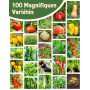 ZenGreens® - Kit de graines de herbes aromatiques & légumes bio - 100 variétés pour une culture facile dans le jardin, sur le ba