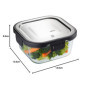 Boîte à lunch Gefu G-12756 Transparent Acier inoxydable Plastique Verr
