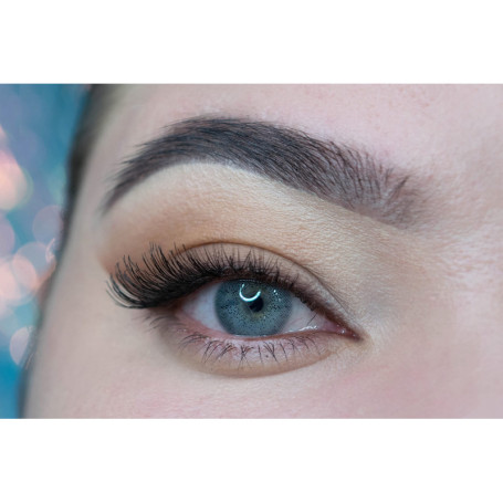 MYSALENS® Lentilles De Contact De Couleur Gray Gris Ocean Naturelle très haute opacité Kit De Rangement Boitier Pince applicateu