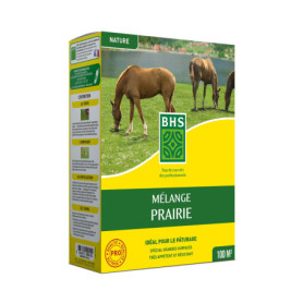 BHS GPR1 | 1kg | 100 m² | Gazon Melange Prairie | Destiné aux zones extensives qui ne nécessitent pas d’entretien | Pour le pâtu