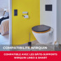 Wirquin 55722890 Plaque de commande wc suspendu double chasse Square noire compatible avec les bâti-supports Wirquin Lineo et Sm