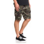 Quiksilver Homme Shorts de skateboard, Camo Print Crucial Battle, 31