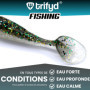 trifyd ® Fishing - Leurres Souples shad de 10 cm pour brochet ou Tous Types de canassiers, Le Pack de 5 leurres de pêche + 2 têt