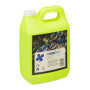 Relaxdays Bidon de Solution savonneuse pour Bulles, 2 litres, pour Bulles de Savon, Mariage, fête, Enfant, Vert