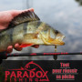 Paradox Fishing Lot de 24 têtes plombées de qualité supérieure (5 g/7.5 g/10 g/12 g/15 g) - 5/4 hameçons hameçons hameçons, leur