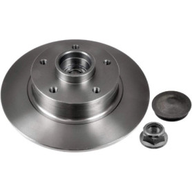 Blue Print ADR164304 DISQUE DE FREIN ARRIERE