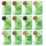 HERBAL AGE 12 Variétés de Plantes d'Herbes, 8700 Graines d'Herbes, Idée Cadeau Homme et Femme, Kit de Jardinieres Exterieur Pour
