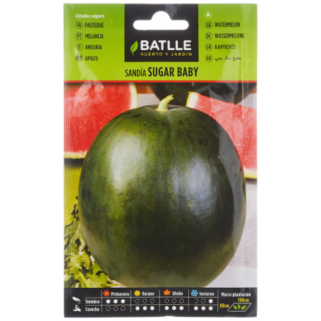 Semences horticoles de Batlle - Pastèque Sugar baby (8g), Rouge,Verte