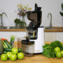 Extracteur de Jus BioChef Atlas Whole Slow Juicer - Blanc