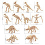 WANGCL 12 Pièces Squelette de Fossiles de Dinosaure d'Excavation, Jouets de Simulation de Dinosaure Squelette de Dinosaure d'Exc