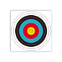 Cibles de tir à l'arc 40 cm x 40 cm Norme Internationale 10 Anneaux en Papier cibles 30 pièces
