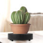 xyuayamz Porte Plante a roulettes, Support Plante Roulette Rond ø 20cm, Capacité de Charge 50kg, Support Pot de Fleur avec Boîte