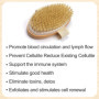 Firschoie 2 Pièces Brosse pour le corps de Massage, Brosse corporelle pour éliminer les peaux mortes, Utilisé pour améliorer cir
