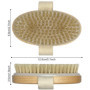 Firschoie 2 Pièces Brosse pour le corps de Massage, Brosse corporelle pour éliminer les peaux mortes, Utilisé pour améliorer cir