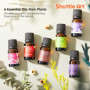Shuttle Art DIY Kit de Fabrication de Bougies, Kit Bougie avec Cire de Soja, Cadeau DIY Coffret Bougies à Faire Soi Même avec Po