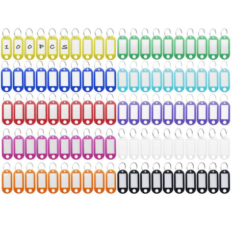 Rseuphiee 100 Pièces Porte-Clés, Étiquettes de Clé en Plastique, Inscriptibles Porte Clef Couleur en 10 Couleurs, en étiquettes 