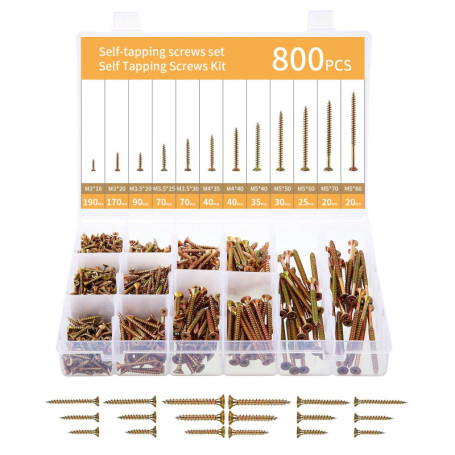 SOSINYA 800 Pcs Vis a Bois Autotaraudeuses,Vis tête plate Phillips,Vis Autoperforante.Vis Bois en Acier Au Carbone ultra dur,Zin