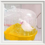 Baignoire D'Oiseau BoîTe Bain Jouet - Suspendu Perruche Baignoires pour Oiseaux Perroquets avec Crochets Nourrisseur Plupart des