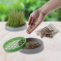 R&R SHOP - Kit Cataire Double Graines - Pot de Germination, 2 Types d'herbe à Chat, stimulante et Digestive, 4 sachets de graine