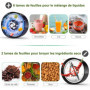 Rawhui Mixeur Électrique 800W pour Smoothies, Mini Blender avec 2 Bouteilles Portables de 600 ml, Sans BPA, 6 Lames en Acier Ino