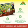 Neudorff Azet Engrais tomates – Engrais 100% naturel pour tomates aromatiques et légumes en jardinière, pot et jardin, 250 ml