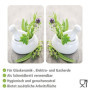 WENKO Plaque de Protection Cuisson en Verre trempé Herbes Lot de 2, Protection Tous Types de Plaque