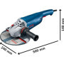 Bosch Professional meuleuse angulaire GWS 22-230 P (2 200 W, avec poignée supplémentaire antivibrations, flasque de serrage, écr