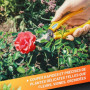 GRÜNTEK Sécateur de Jardin Ciseaux à Fleurs Vigne et Bonsai léger et compact. Lame Franche de 45 mm très affutées. Poignées en f