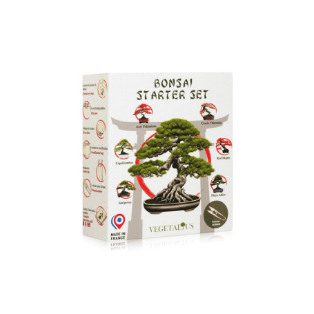 VEGETALIUS - Kit complet de 6 Bonsai avec graines & accessoires - Fabriqué en France - Idée coffret cadeau original pour femme &