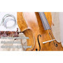 Unxuey Steel Core Cello Set complet de cordes A-D-G-C 4 prises de son Magnesium Soft avec diamètre épais pour violoncelle