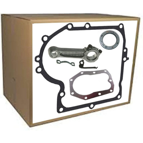 Bielle pour moteur Briggs & Stratton 286707 28D707 28M707 et culasse - Joint carter moteur Simmering