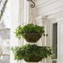 Crochets de Plafond pour Plantes suspendues, 2 Crochets de Suspension Robustes avec vis, Support Mural en métal 2 Crochets de Pl