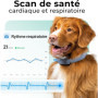Invoxia Minitailz - Traceur GPS & Santé n°1 pour Chien - Alertes Anti-Fugue, Scan respiratoire - Localisation Temps réel, Rechar