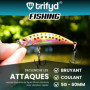 trifyd ® - Poisson Nageur Truite 6cm, Le Pack de 5 leurres de pêche