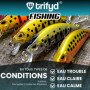 trifyd ® - Poisson Nageur Truite 6cm, Le Pack de 5 leurres de pêche