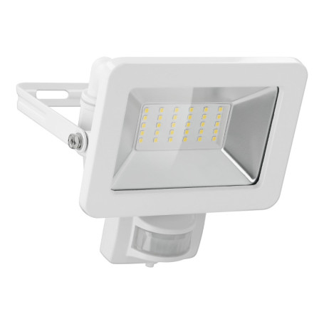 goobay 53882 Projecteur détecteur de Mouvement – Spot LED 30 W – Blanc Neutre 4000 K – 2560 LM – Angle d'éclairage 100 ° – Indic