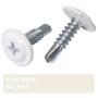 SKIR'CO Lot de 150 vis autoforeuses peintes 4,2 x 16 mm, tête de réglage modifiée Phillips Vis à tôle Tête gaufrée (150, Blanc P