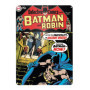 Batman and Robin Targa Metallica Grande [Import]