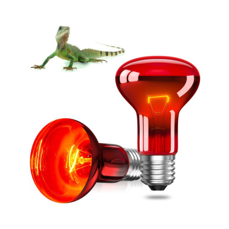 GlowUp E27 Reptile Ampoules Chauffantes 50W, Dimmable Rétro Éclairage Infrarouge Lampe De Chaleur Ampoule Spot Basking Pour Drag