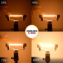 DoRight 100W R7s Ampoule Halogène 118mm Dimmable Blanc Chaud 2800K J118 Projecteur AC 220-240V Halogène Linéaire 1500lm Angle de