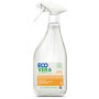 Ecover Essential Spray Nettoyant Multi Surface, Nettoie Sans Laisser de Traces, Ingrédients d'Origine Naturelle, Parfum Citron, 