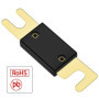 Heschen ANL Lot de 2 fusibles ANL-40 40 A pour système audio de voiture Doré et noir