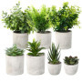 7 Pièces Plantes Artificielles,Mini Plantes Artificielles,Plantes artificielles pour la décoration du Salon, de la Chambre, du B