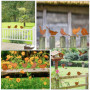 ZYEKIU 5 Pièces Oiseaux Decoratifs Decoration Jardin Exterieur Deco Exterieur Patine Rouille Naturelle Déco Jardin Métal Rouillé
